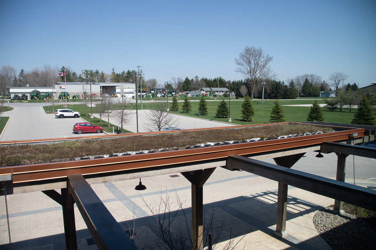 Sections of green roof absorb solar radiation and rainwater, clean the air and provide a habitat ...